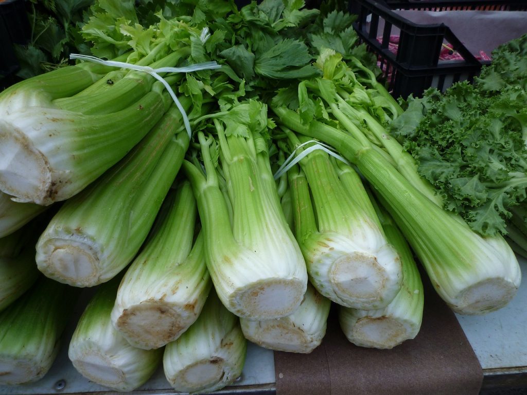 celery-248156_1280